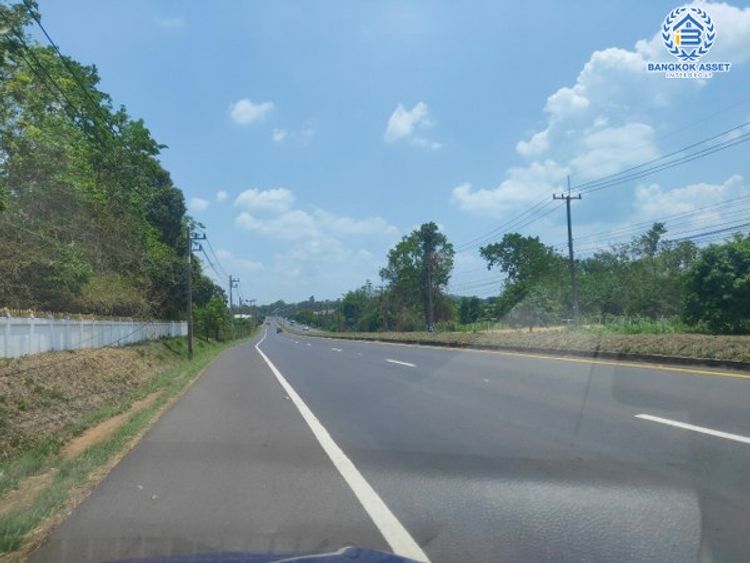 ที่ดินเปล่าทำเลยโสธร บ้านนาโพธิ์ ใกล้สะพานข้ามไทย-ลาว (B4992), ภาพที่ 4