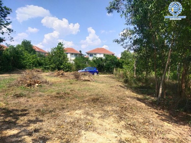 ที่ดินเปล่าทำเลยโสธร ซอยผักกาดเขียว ใกล้สวนสาธารณะพญาแถน และ (B4993), ภาพที่ 4