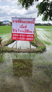 Agent post ขายที่ดิน 9 ไร่  1  งาน  28 ตารางวา ติดถนนคลองโยง