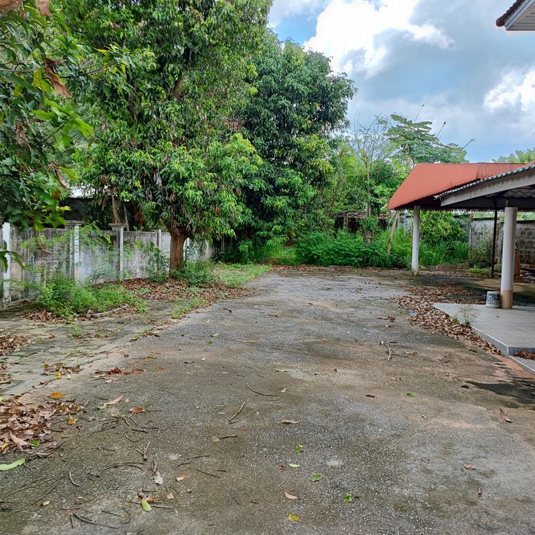 ขาย บ้าน ตำบลหนองจะบก อำเภอเมืองนครราชสีมา จังหวัดนครราชสีมา, ภาพที่ 4