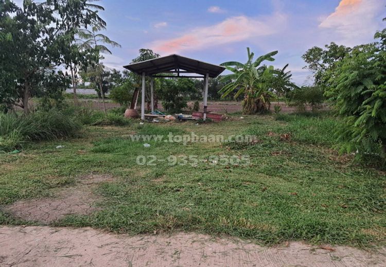 ขายที่ดิน ใกล้อนามัยราษฎร์นิยม ถนนบางบัวทอง-สุพรรณบุรี อำเภอไทรน้อย, ภาพที่ 4