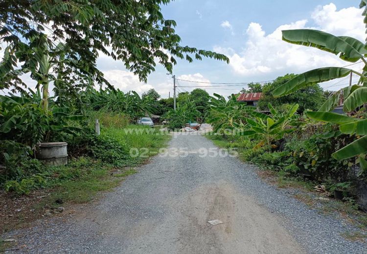 ขายที่ดิน ซอยกันตนา ถนนกาญจนาภิเษก อำเภอบางใหญ่ นนทบุรี, ภาพที่ 4