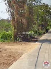 ขายที่ดินเปล่า 200 ตรว. ซอยคลองสาม9/1 ปทุมธานี สวย ติดถนนคอนกรีต ใกล้แหล่งความเจริญ