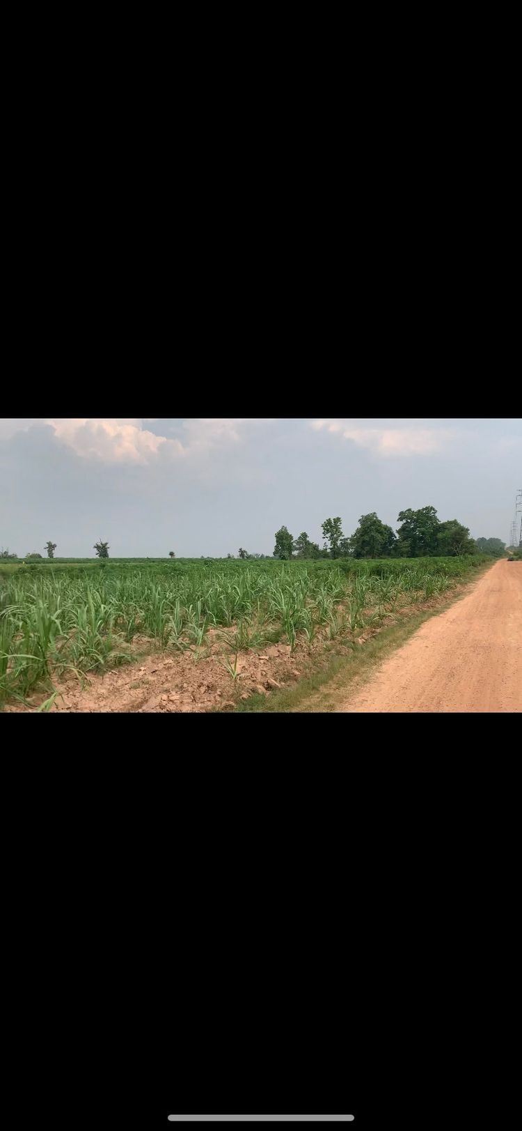 ขาย ที่ดิน ตำบลกุดน้ำใส อำเภอน้ำพอง จังหวัดขอนแก่น, ภาพที่ 4
