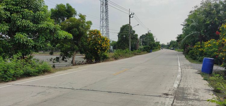 ขายที่ดิน เปล่า ตำบลขุนศรี อำเภอไทรน้อย นนทบุรี, ภาพที่ 4