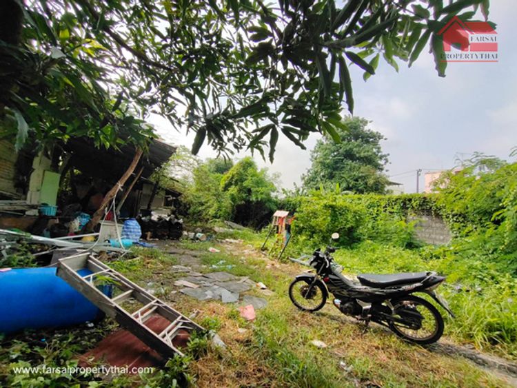 ขายที่ดินถมแล้วเนื้อที่ 98 ตร.ว พร้อมปลูกสิงก่อสร้าง ล้อมรั้วขอบชิด, ภาพที่ 4