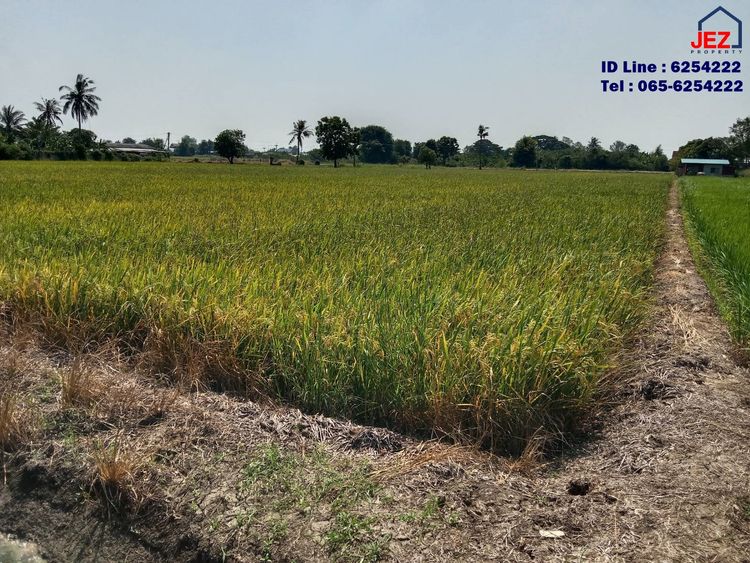 ขาย ที่ดิน ตำบลสามโก้ อำเภอสามโก้ จังหวัดอ่างทอง  เนื้อที่ 3 ไร่ 1 งาน , ภาพที่ 4