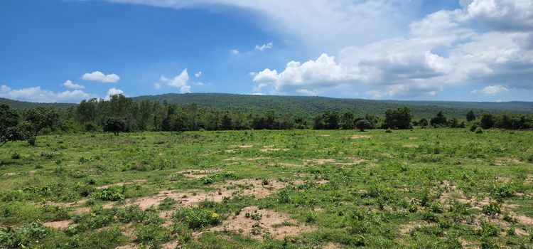 ขาย ที่ดิน ตำบลเพนียด อำเภอโคกสำโรง จังหวัดลพบุรี, ภาพที่ 4