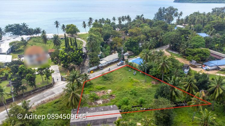 ขายที่ดิน เกาะพะงัน สุราษฎร์ธานี โฉนด 1 ไร่ ติดถนนเลียบชายหาด ใกล้ทะเล, ภาพที่ 4