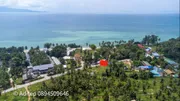 ขายที่ดิน เกาะพะงัน สุราษฎร์ธานี โฉนด 1 ไร่ ติดถนนเลียบชายหาด ใกล้ทะเล ใกล้ท่าเรือท้องศาลา