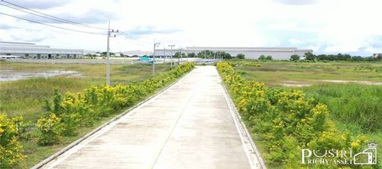 ขายที่ สีม่วง สร้างโรงงานได้ทุกประเภท มี 2 เเปลง 7 เเละ 15 ไร่ –, ภาพที่ 4