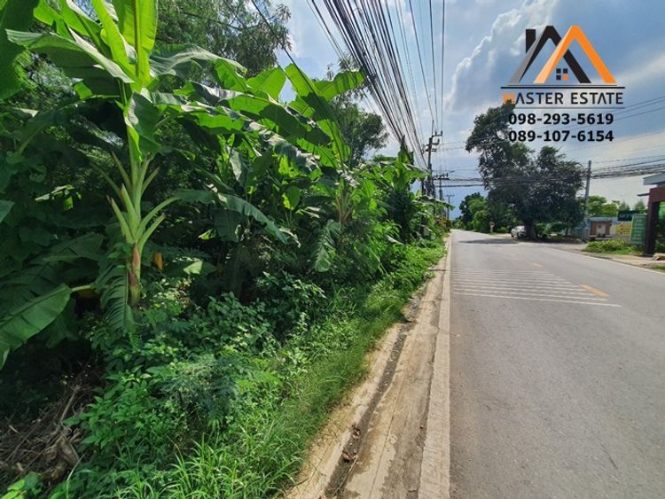 บางไผ่ 9/1 ที่ดินเปล่า 2-2-17 ไร่ สวย ติดถนนซอย หน้ากว้าง 45 m. ลึก 105, ภาพที่ 4