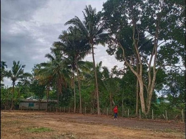 ที่ดิน 328 ตร.ว ตร.ว ละ  8,600 บาท โซนสันทรายหลวง น้ำ+ไฟพร้อม, ภาพที่ 4