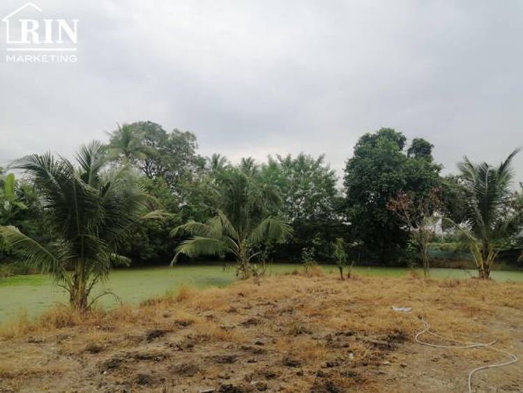 R072-019ขายที่ดินตำบลขุนศรีอำเภอไทรน้อยจังหวัดนนทบุรี เพียง 4150/ ตรว, ภาพที่ 4