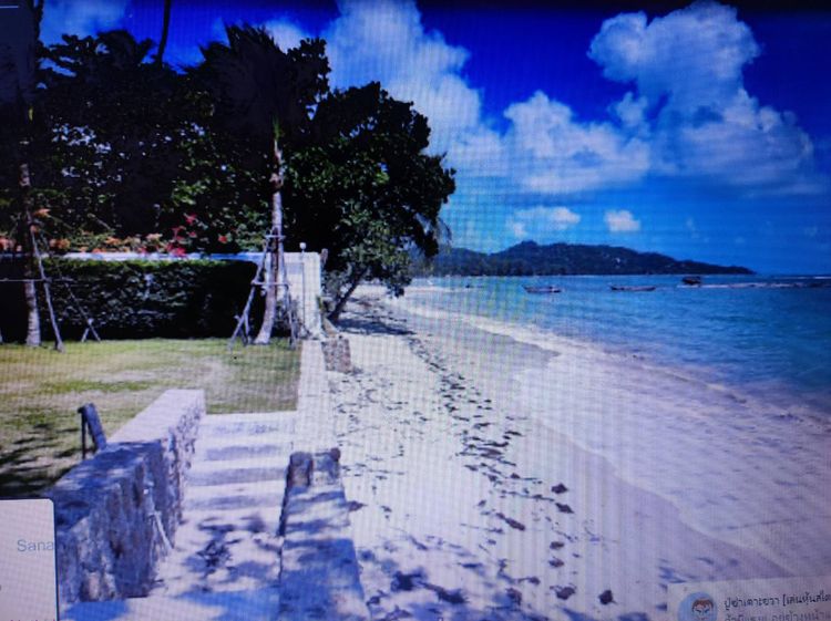 ขายที่ดินเกาะสมุย 10 ไร่ 3 งาน 43 ตรวา ถนนหน้าที่ดินใกล้ชายหาดแหลมเส็ด, ภาพที่ 4