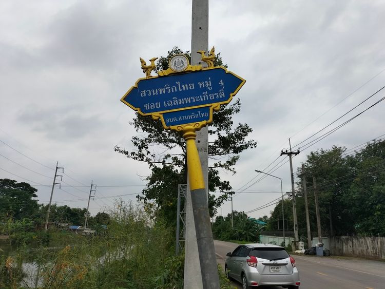 ขาย ที่ดิน ตำบลสวนพริกไทย อำเภอเมืองปทุมธานี จังหวัดปทุมธานี, ภาพที่ 4