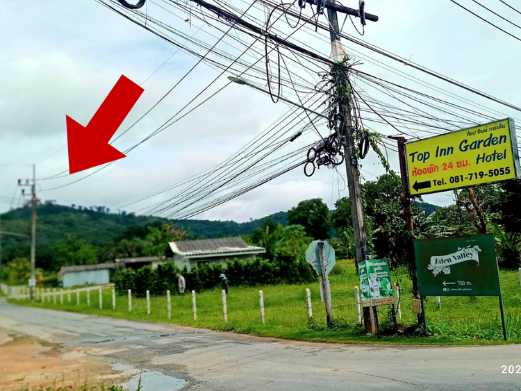 ขาย ที่ดิน ภูเก็ต 20  ไร่ บนเนินเขา สวย วิวทะเล ต.ศรีสุนทร อ.ถลาง น.ส.3, ภาพที่ 4