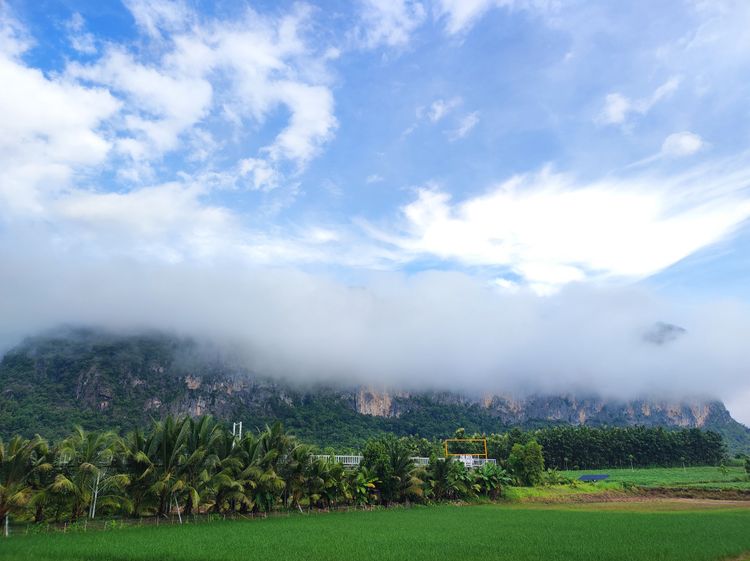 ขายที่ดินติดภูเขาภูผาม่าน ตำบลภูผาม่าน อำเภอภูผาม่าน จังหวัดขอนแก่น, ภาพที่ 4
