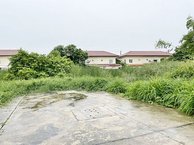 ขายที่ดิน ซอยสวัสดิการ1 หนองแขม ถนนเพชรเกษม ซอย 77 ทำเลดี , ภาพที่ 4