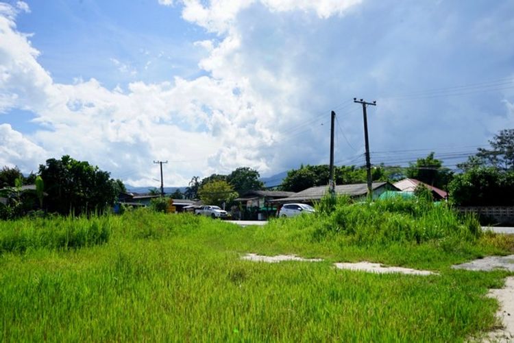 ขายที่ดินโซนแม่ริม ใกล้แหล่งท่องเที่ยว ใกล้โรงเรียน , ภาพที่ 4