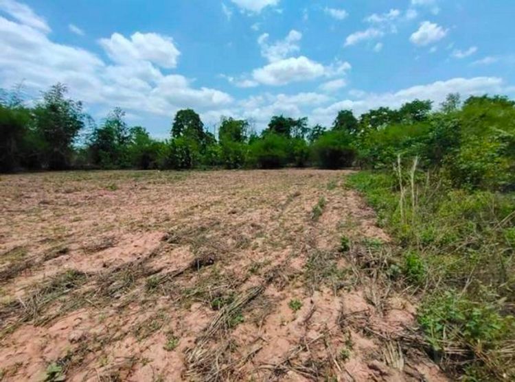 ขายที่ดินโฉนด 5 ไร่หมู่บ้านสุขเกษ ต.ลำภู อ.เมืองหนองบัวลำภู , ภาพที่ 4