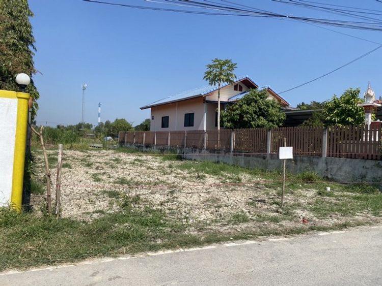 ขายที่ดิน90ตรว.บางบัวทอง ต.บางคูรัด ในซอยวัดลาดปลาดุกเลียบคลองนายหลีก, ภาพที่ 4