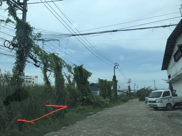 ที่ดิน 99 ตร.ว โครงการจัดสรรของกรมรักษาดินแดง จ.สมุทรปราการ อ.บางพลี, ภาพที่ 4