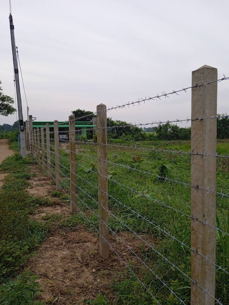 ขายบ้านเดี่ยว บรรยากาศดี อำเภอเมือง ลพบุรี 5 ไร่ 2 งาน 12 ตร.ว., ภาพที่ 4