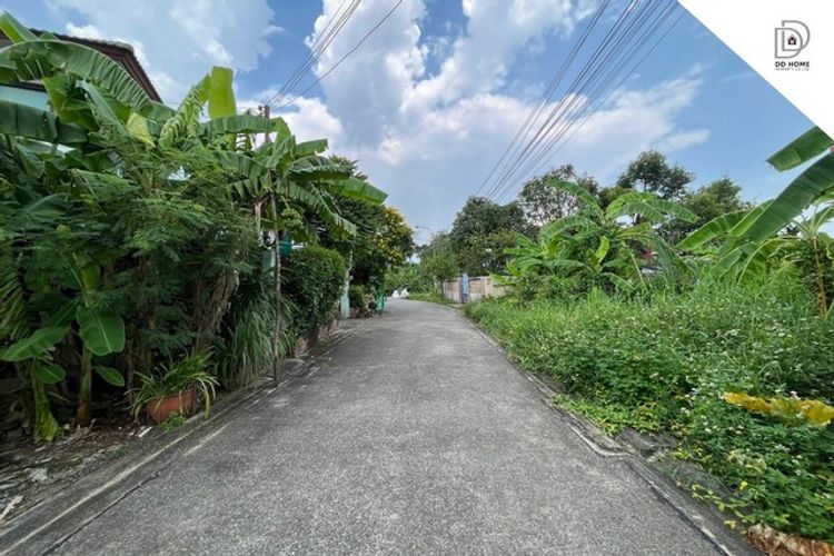 DD00958 ขาย ที่ดินเปล่า เพชรเกษม116 ถูกที่สุด, ภาพที่ 4