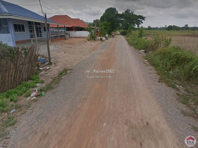 ขายด่วนที่ดินเปล่า 200 ตรว. ที่ดินสวย พื้นที่นา ต.วังหินลาด อ.ชุมแพ , ภาพที่ 4