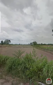 ขายด่วนที่ดินเปล่า 200 ตรว. ที่ดินสวย พื้นที่นา ต.วังหินลาด อ.ชุมแพ จ.ขอนแก่น ที่ดินด้านหน้าติดถนน และที่ดินด้านหลังติดถนน 