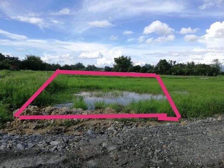 ขายที่ดิน 93 ตรว. 450,000 บาท ถนน น้ำประะปา ไฟฟ้า ต.ป่าลาน อ.ดอยสะเก็ด, ภาพที่ 4