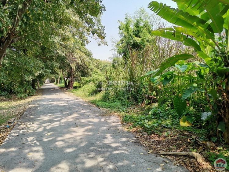 ขายที่ดิน 149 ตรว. ซอยลาซาล11 ถ.สุขุมวิท105 ใกล้BTSบางนาเพียง 900 เมตร, ภาพที่ 4