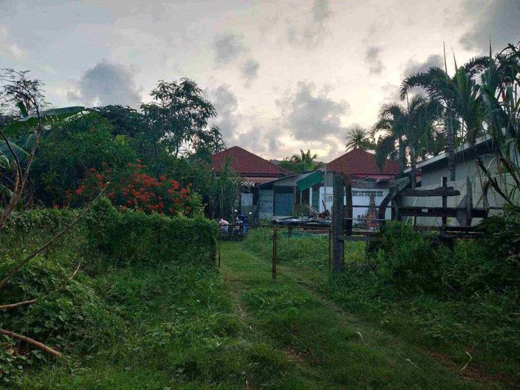 ขายที่ดิน183ตรว.ราไวย์ภูเก็ตเจ้าของขายเอง, ภาพที่ 4