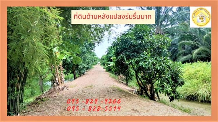 ขายที่ดิน 49-2-98 ไร่ เพียงไร่ละ 500,000 บาท ติดถนนเลียบคลอง11  , ภาพที่ 4