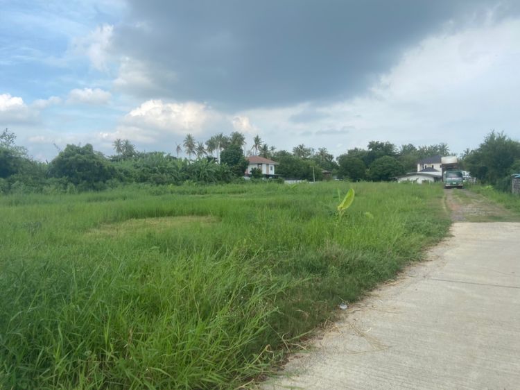 ขาย ที่ดิน ตำบลลำพยา อำเภอเมืองนครปฐม จังหวัดนครปฐม, ภาพที่ 4