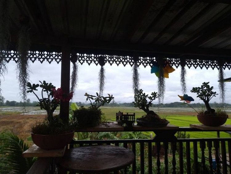 ขาย บ้านสวนวิวทุ่งนา ติดลำเหมือง บรรยากาศดีๆ เห็นวิวดอยสุเทพ, ภาพที่ 4