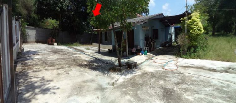 ขายที่ดิน พร้อมสิ่งปลูกสร้าง พ.ท. 200 ตร.ว บ้านชั้นเดียว 161.20 ตร.ม,, ภาพที่ 4
