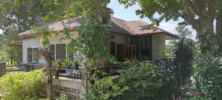 ASS1595 ให้เช่าบ้านสวน 46 ไร่ 3 งาน 50 ตรว. , ภาพที่ 4