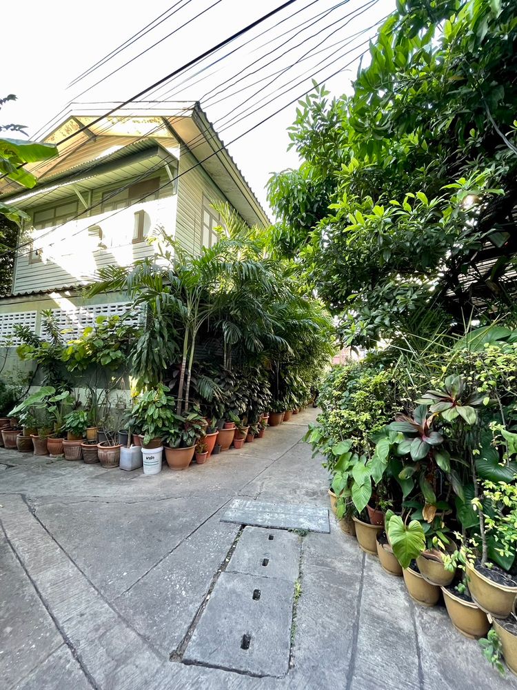 ขายที่ดิน ซอย เจริญกรุง 67 แขวงยานนาวา เขตสาทร กรุงเทพมหานคร, ภาพที่ 4