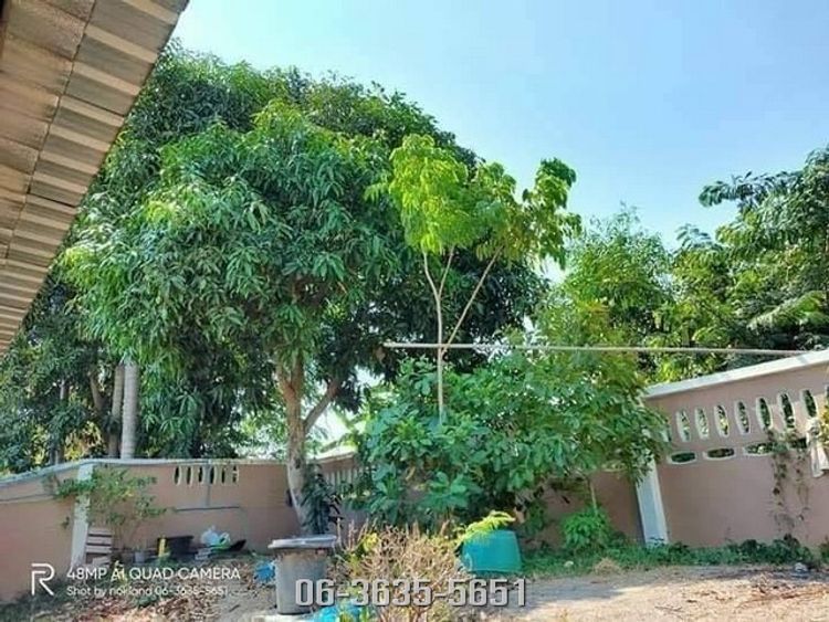 ด่วนสุด บ้านสวนน่ารัก 175 ตรว อยู่ในหมู่บ้านสวนแสนสุข ต.บางปลากด, ภาพที่ 4
