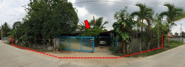 ขายบ้านเดี่ยว                บางละมุง ชลบุรี (PKT91630), ภาพที่ 4