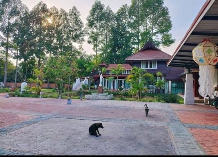 ขายด่วนบ้านทรงไทย  บ้านไม้สักหลังใหญ่  ราคา 7.9 ล้าน , ภาพที่ 4
