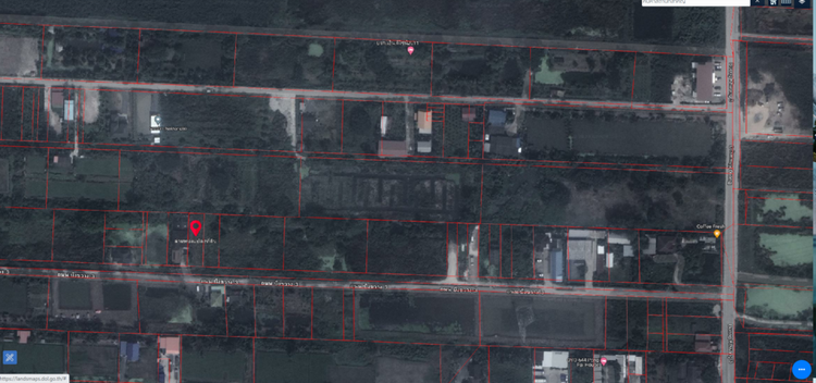 ขายที่ดิน บึงขวาง3แยก10 ขนาด 150 ตรว (เจ้าของขายเอง), ภาพที่ 4