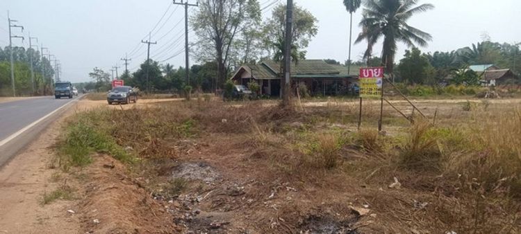 ขายที่ดินสวย 4-1-9ไร่ ติดทางหลวง อ.เซกา - อ.บึงโขงหลง บ้านโนนจำปาทอง , ภาพที่ 4
