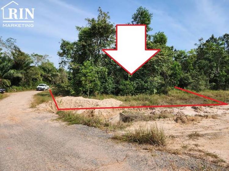 R050-003 ขายที่ดินใกล้สนามบินสุราษฯ 89 ตรว. ต.หนองไทร อ.พุนพิน, ภาพที่ 4