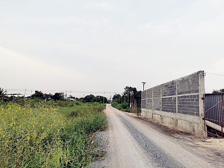 ขาย ที่ดินเปล่า บ้านกล้วย-ไทรน้อย อำเภอบางบัวทอง จังหวัดนนทบุรี, ภาพที่ 4