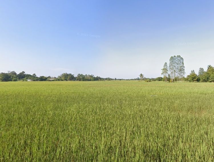ขาย ที่ดินเปล่า อำเภอเมืองขอนแก่น 7 ไร่กว่า, ภาพที่ 4