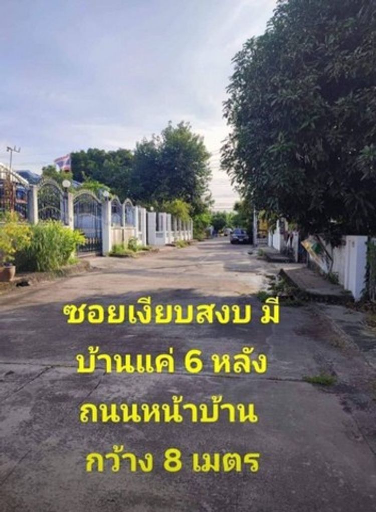 ขายบ้านเดี่ยวชั้นเดียว มบ.หนองรีกรีนแลนด์ ขนาด 60 ตรว 7 เนื้อที่เยอะ, ภาพที่ 4