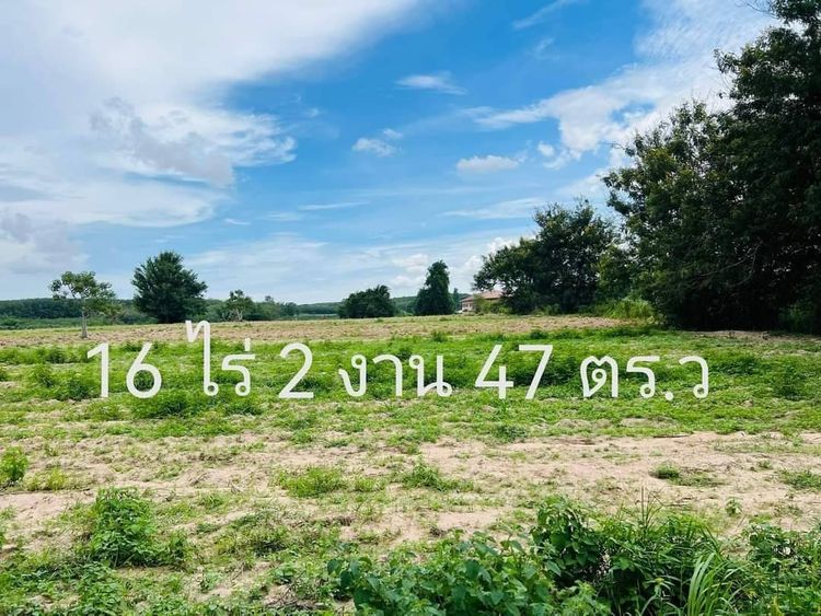 ที่ดิน16 ไร่ ระยอง มาบยางพร ชากอ้อย ซอย 5 ทำเลดี ติดถนน  , ภาพที่ 4